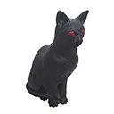 haunted house black cat